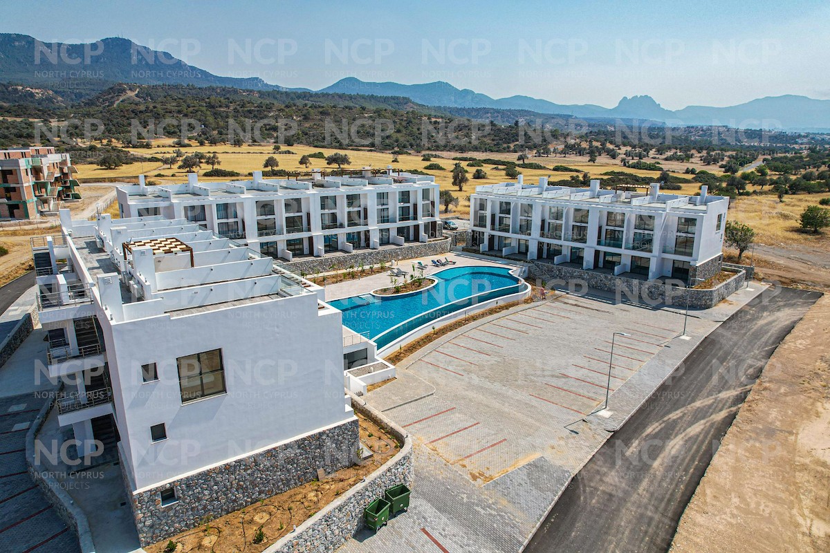 Evergreen Blueberry Golf Homes Foto 10