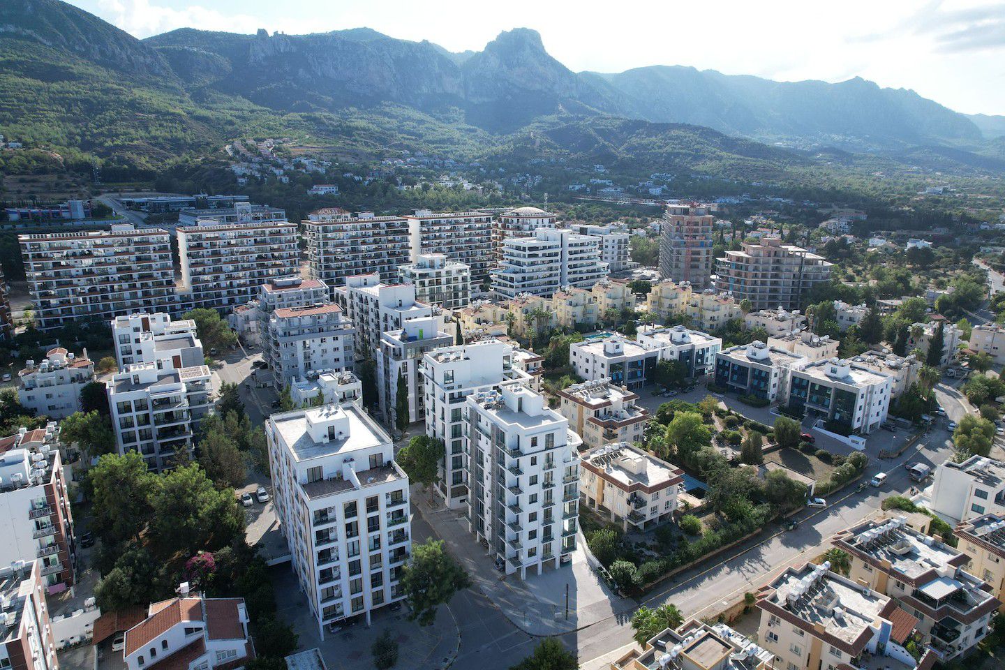 Carrington Elite Residence Photo 4