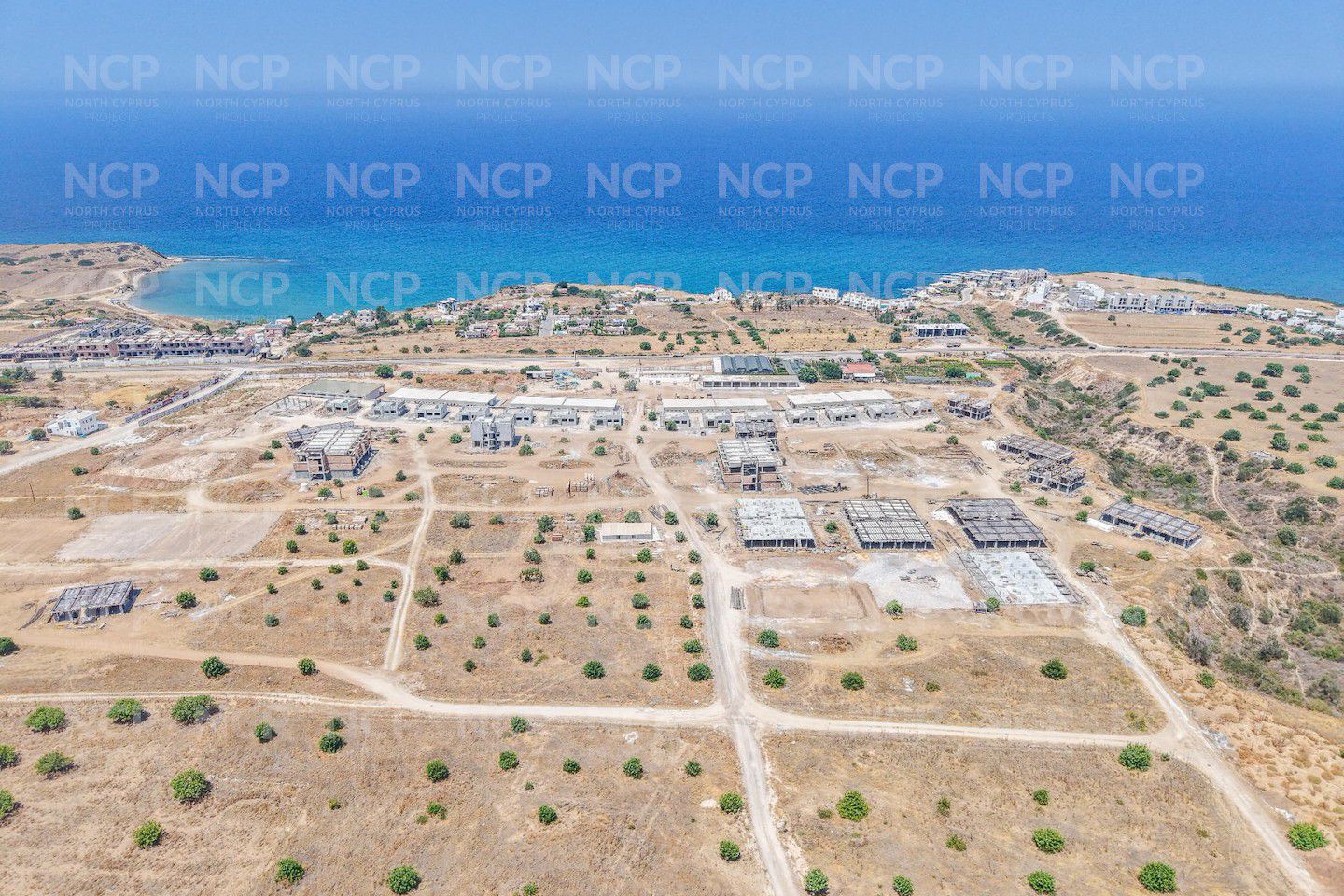 Evergreen Habitat Premium  (Arkın & Dedeman) Photo 9