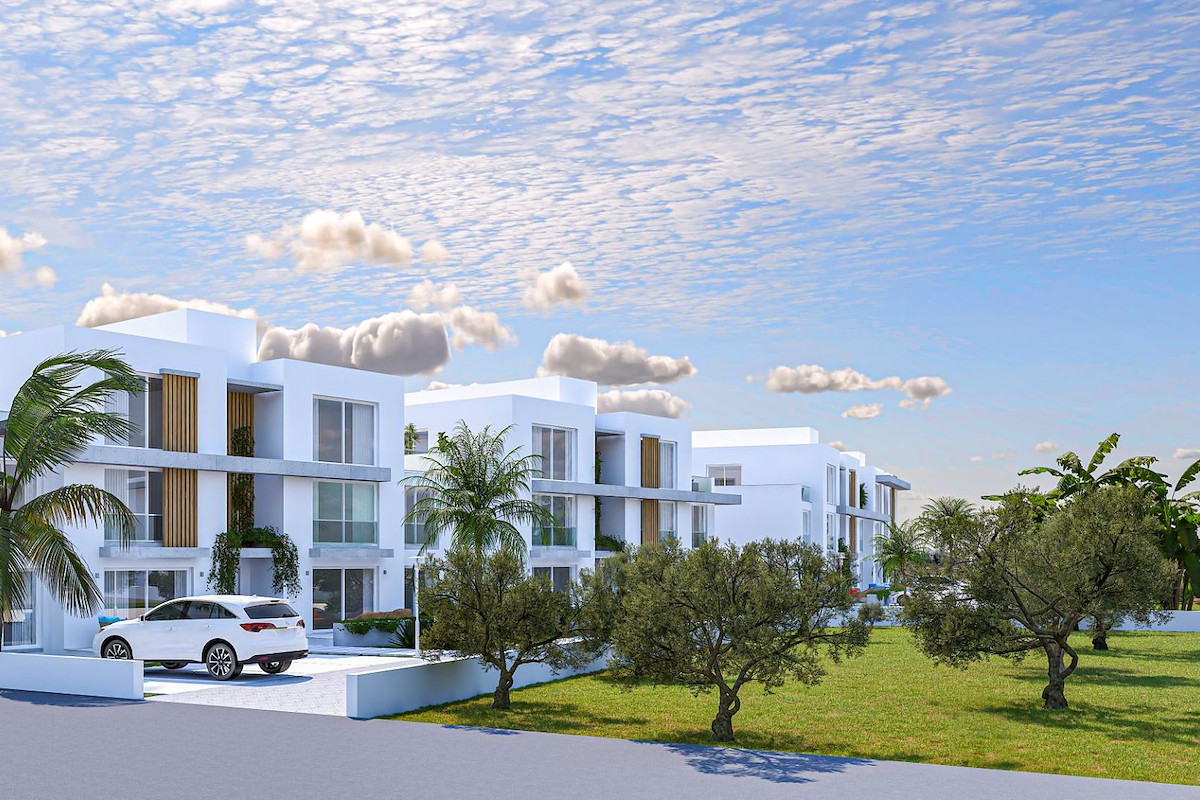 Dorter Construction Olive Court 2 Foto 7