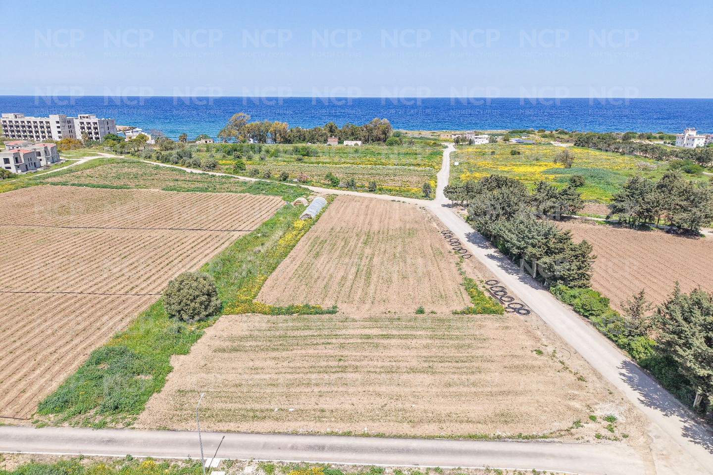 Del Mar Developments Sardunya Bay Beach Homes תמונה 9