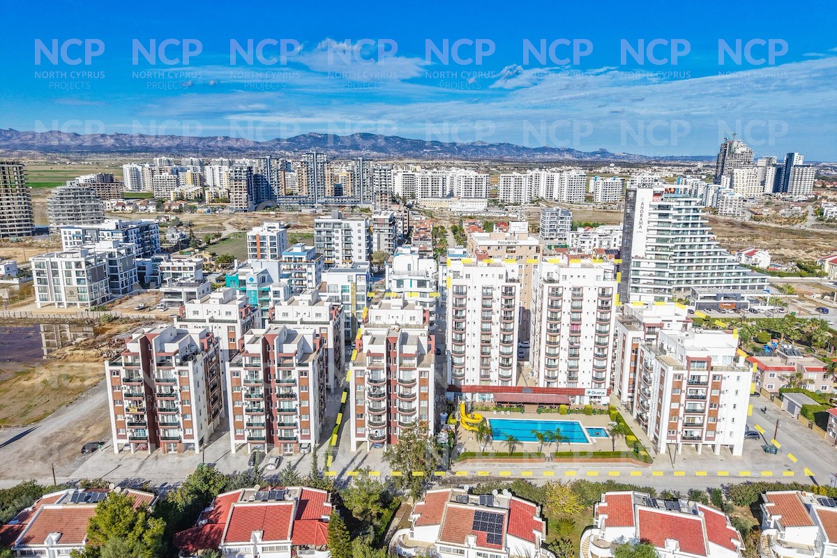 Noyanlar Construction Sea Life Foto 9