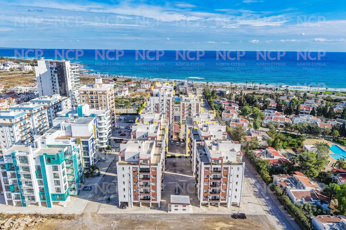 Noyanlar Construction Sea Life Foto 10
