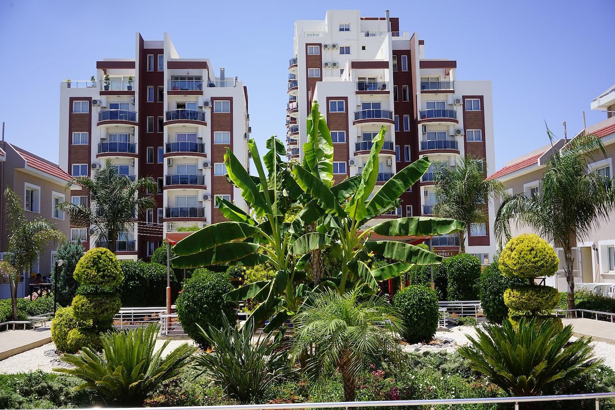 Noyanlar Construction Sea Life Foto 4