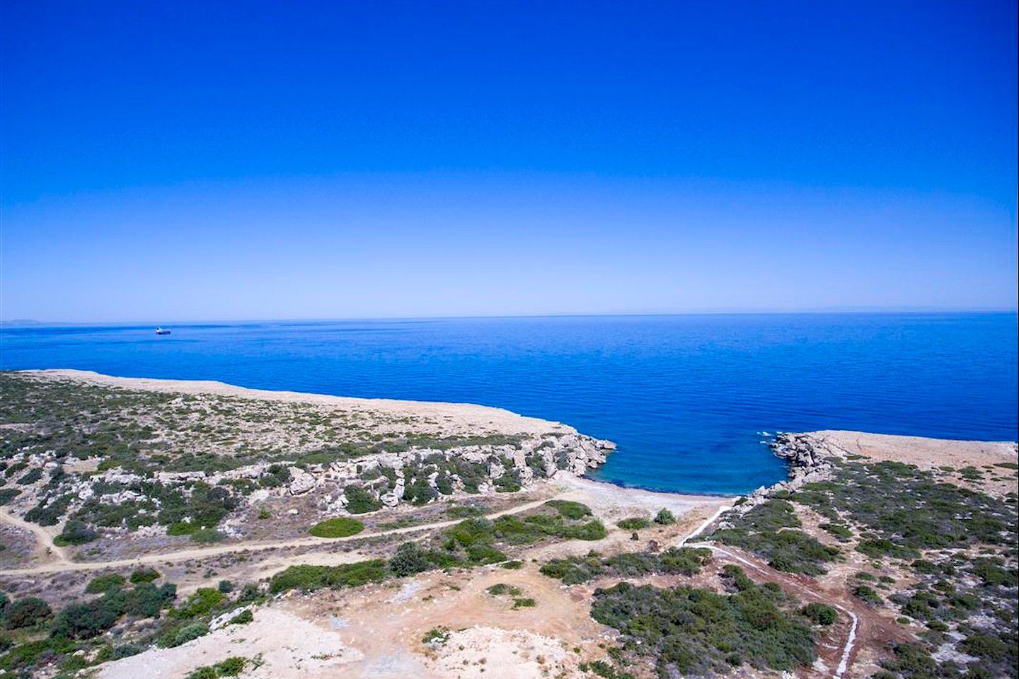 Carrington Sea Magic Premium Photo 2