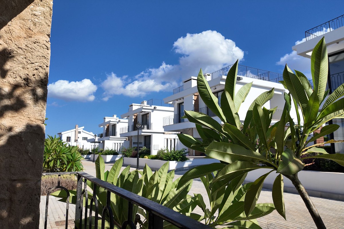 Island Green Cons Yalusa Homes Photo 6